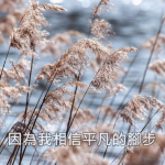 平凡的腳步也可以完成偉大的旅程